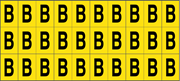 Immagine di E-6.B