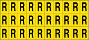 Immagine di E-6.R